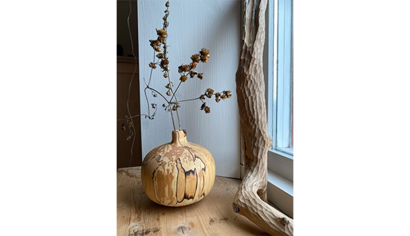 hjalmar åberg 900x400