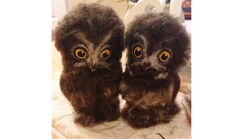 pärleuggleungar900x400