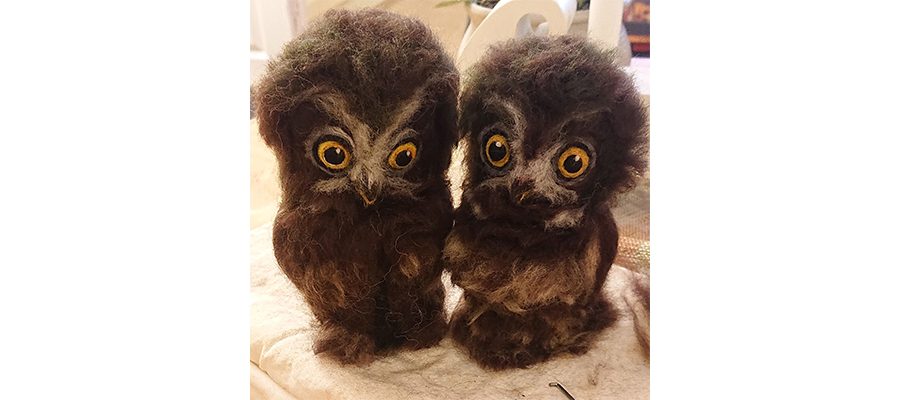 pärleuggleungar900x400